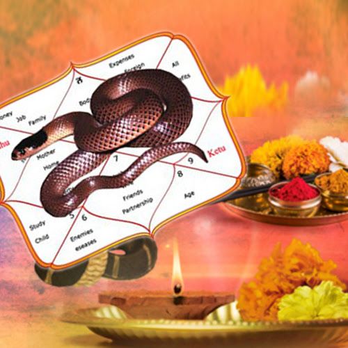 Kaal Sarp Dosh Pujan